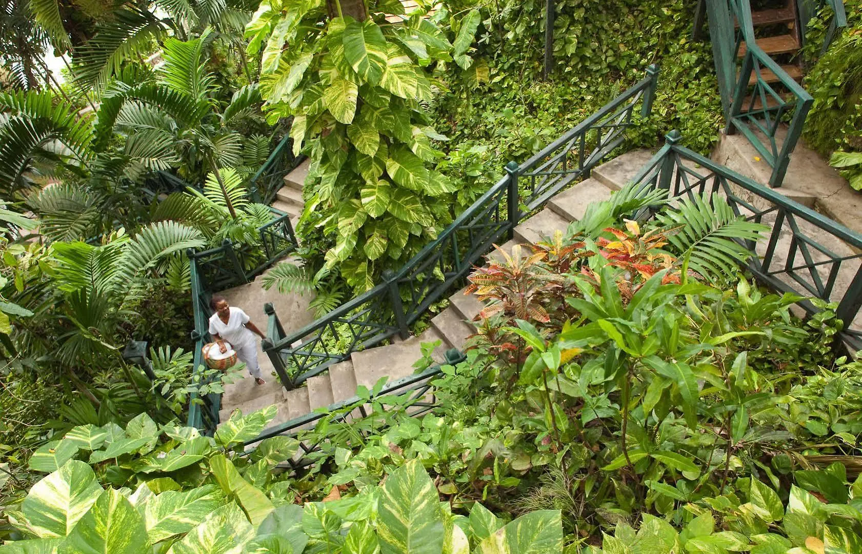 Couples Sans Souci All Inclusive Ocho Rios Hotel